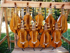 galician-hurdy-gurdy-16    